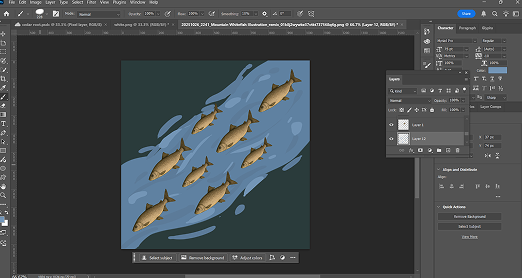 KNRD fish pattern exploration screenshot